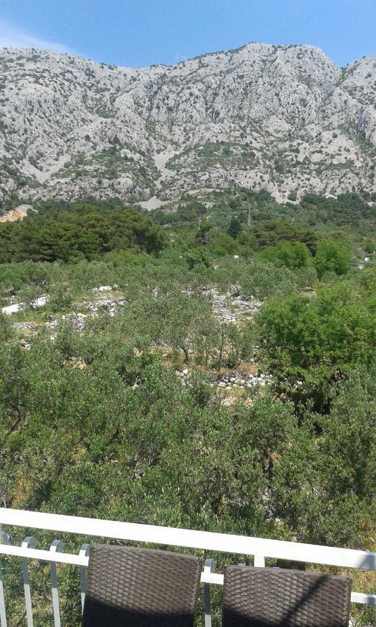 Apartment Villa Bajna Živogošće Eksteriør bilde
