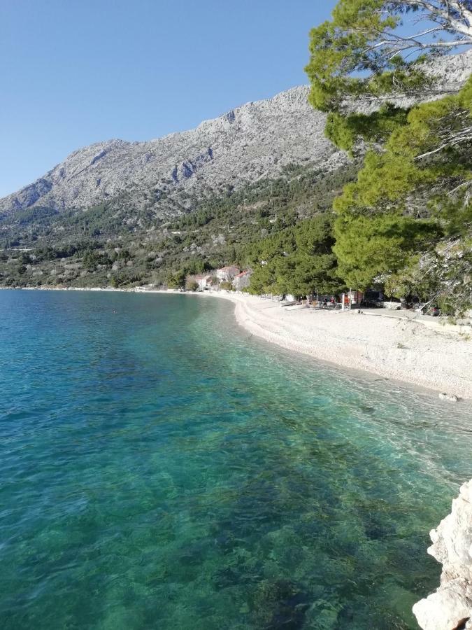 Apartment Villa Bajna Živogošće Eksteriør bilde